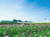 與河北省生態(tài)文明建設促進會合作，提供單位官網(wǎng)網(wǎng)站改版工作