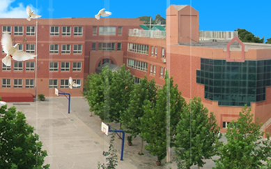 藍點助力石家莊中華大街小學，網(wǎng)站改版升級