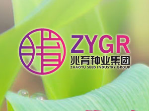 【簽約】河北兆育種業(yè)集團有限公司，簽署網站改版升級合同