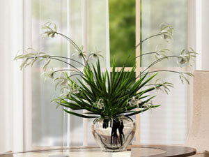 【簽約】張家口智仁商貿有限公司，網站系統(tǒng)開發(fā)項目