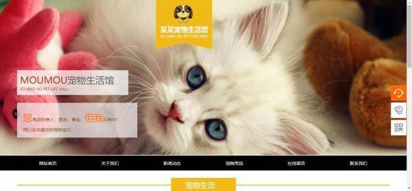 企業(yè)網(wǎng)站建設(shè)，網(wǎng)站性價比高